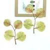Nova Folha de Eucalipto Folha de Coração Casa Escandinava Arranjo de Flores Decoração Planta Verde Artificial Ins Casamento Verde Floresta Planta Verde