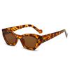 2025 Nuevas Gafas de Sol Poligonales Jelly Verdes Transparentes para Mujer Retro Transfronterizas de Moda Gafas de Montura Negra para Hombre