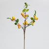 Simulación Transfronteriza con Hoja Rama de Manzana Pequeña Fruto de Begonia Baya Pequeña Planta Verde Decoración Adornos Florales de Escritorio Accesorios de Fotografía
