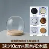 Decoración de Escritorio para el Hogar Flor Inmortal Cubierta de Vidrio en Forma de Bola Arcilla Hecha a Mano Cubierta Antipolvo Mate Burbuja Base de Madera