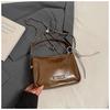 Bolsa Pequena Super Popular 2026 para Mulheres, Bolsa Transversal de Ombro Retrô, Estilo Inverno e Primavera, Bolsa de Mão para Trabalho, Bolsa de Corrente da Moda
