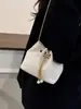 Bolsa Saco com Cordão Moda Coreana 2026 Nova Bolsa Transversal Corrente Corrente de Veludo Personalizada Ins Bolsa de Ombro Simples