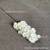 8 Flores Artificiales Phalaenopsis de Tela de Seda Hechas a Mano Decoración para Ventana del Hogar Flor de Seda Base Guía para Escenario Transfronterizo Flor Falsa