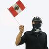 FONTE fabricante de serigrafia de tecido de poliéster Não. 8 14 * 21cm bandeira da mão com mastro plástico bandeira da mão do Peru