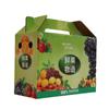 Caja de Regalo de Frutas Universal Caja Vacía Manzana Naranja Naranja Baba Portátil Caja Corrugada en stock Caja de Embalaje Venta al por Mayor
