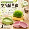 Vaso hidropônico para grama de gato, copo hidropônico para cultivar grama de gato, copo de grama de gato, vaso de grama de gato, pote para petisco de gato