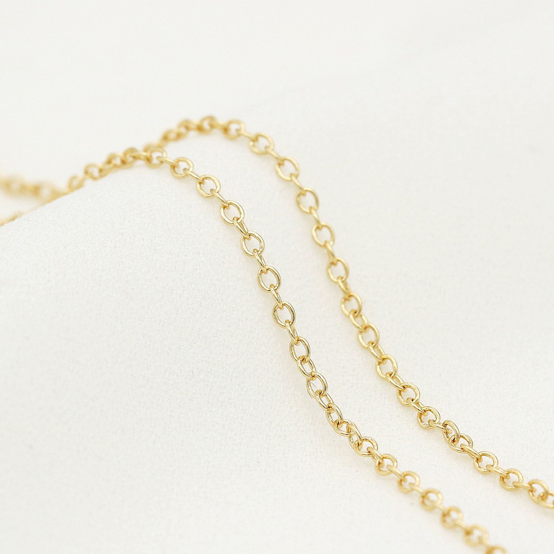 10913267689_1630960637