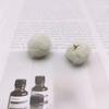 Colgante de Pelo Sintético de Visón 2021 Nueva Moda Elegante para Mujer Pendientes de Bola de Pelo de Línea Larga de Felpa Adecuados para Accesorios de Oreja de Invierno