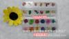 Tamanho Manicure Flor Seca Caixa Longa 12 Cores Planta Estéreo Manicure Pequena Flor Seca Joias para Nail Art Atacado