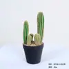 Cactus Pilares de Dragón Simulados Cactus Parásito Planta del Desierto Marroquí Decoración Suave para Paisajismo Modelo Decoración de Proyectos