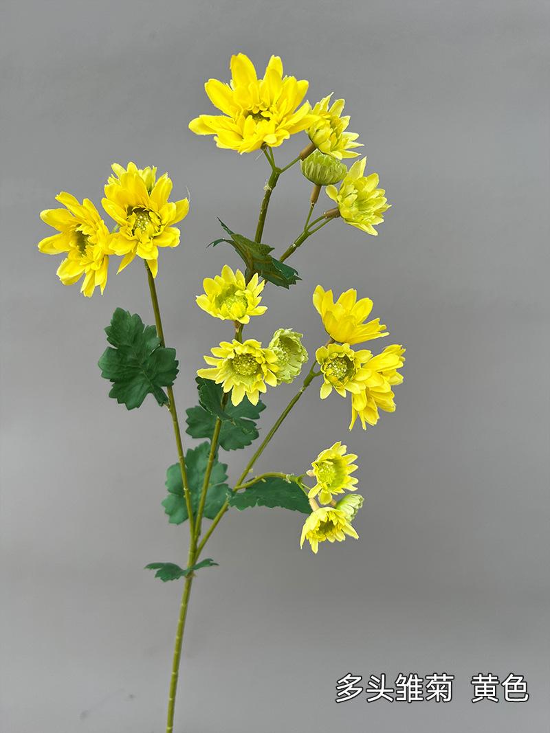 多头雏菊--黄色.jpg