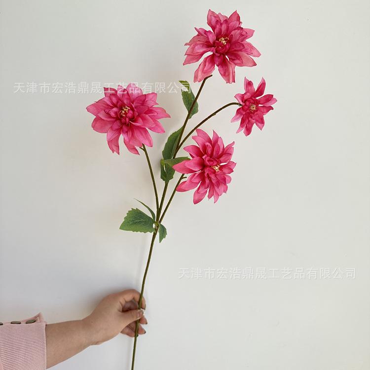 微信图片_202303271336511_副本