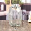 Vaso de Vidro Atacado Flores Frescas Simples Flores Secas Flores em Vasos Rosas Enfeites de Sala de Estar Decoração Ins Pequeno Vaso em Relevo