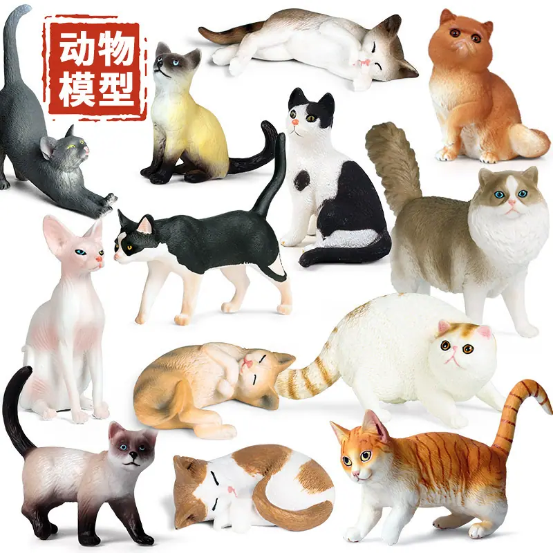 主图