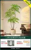 Planta Verde Artificial Nantianzhu, de Gama Alta y Lujo, de Pie, Grande para Interiores y Exteriores, Bonsái de Alta Calidad, Árbol Falso para la Sala de Estar