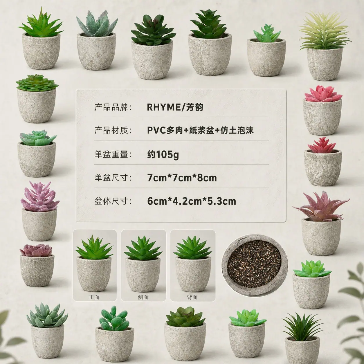 1302多肉详情页 (9).jpg