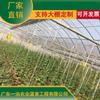 Invernaderos de luz solar para frutas y verduras, Invernaderos agrícolas para frutas y verduras, Plantas suculentas, Estructuras de marco de invernadero de plástico inteligente