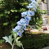 Simulação de casamento de outono flor de seda atacado cabelo estilo europeu grande delphinium jacinto salão de casamento casa hotel