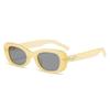 Nuevos Lentes de Sol de Moda para Mujer 2024 Lentes de Sol de Moda Cool Trendy Celebridad de Internet Cara Pequeña Lentes de Sol de Moda