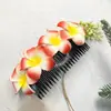 Europa y Estados Unidos Transfronterizo Nuevas Explosiones Flor de Huevo Pinza para Agarrar Flores Pasador Anillo para el Cabello Peine Accesorios para el Cabello Colección de Peines para Mujeres