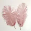 Decoración de pluma de avestruz morada clara para escritorio, arreglo de flor de plumas, pluma de mano para accesorios de fotografía, decoración de pared de plumas para celebridades de internet
