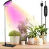 Lámpara LED Ajustable para Plantas Lámpara de Crecimiento Anillo de Ángel Suculenta Rojo Azul Luz Cálida Espectro Completo Flor Planta Verde Luz de Relleno