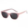 CX2159 Gafas de Sol Retro Ojo de Gato Protección Solar Sentido Avanzado Europeo y Americano para Viaje Gafas de Sol de Montura Grande Patilla Insertada Venta al por Mayor
