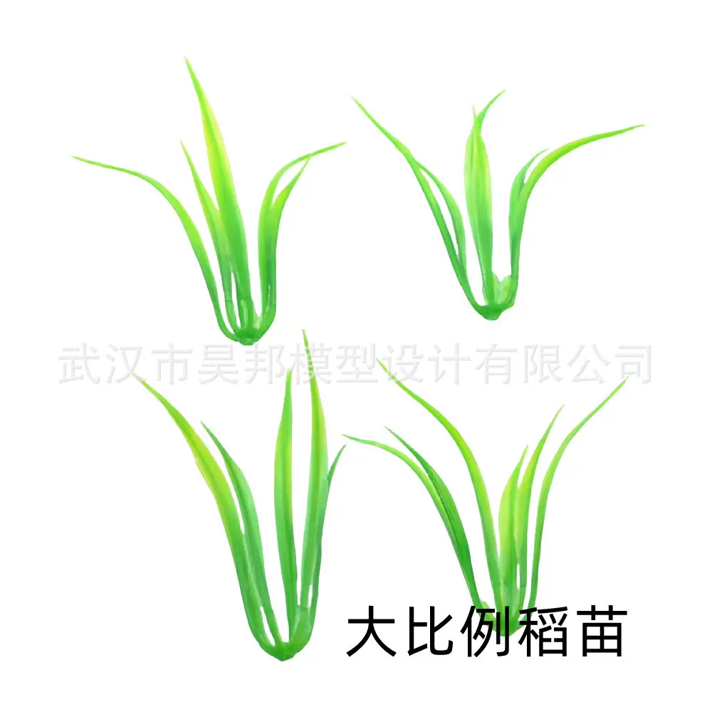大比例稻苗.jpg
