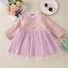 Suministro exclusivo transfronterizo de ropa para niñas de otoño e invierno: Nuevo vestido rosa de malla con ribete de encaje estilo coreano, un vestido chic y elegante