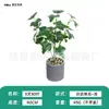 Planta Verde Artificial con 5 Ramas y 30 Hojas, Accesorios de Plantas para Decoración de Paisajismo Interior, Adornos de Plantas en Maceta, Flores Artificiales al por Mayor