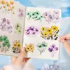 Hermoso Día Pegatinas para Mascotas Serie Pintura de Flores Tema Floral Material para Manual de Paisajismo Pegatinas 15 Piezas