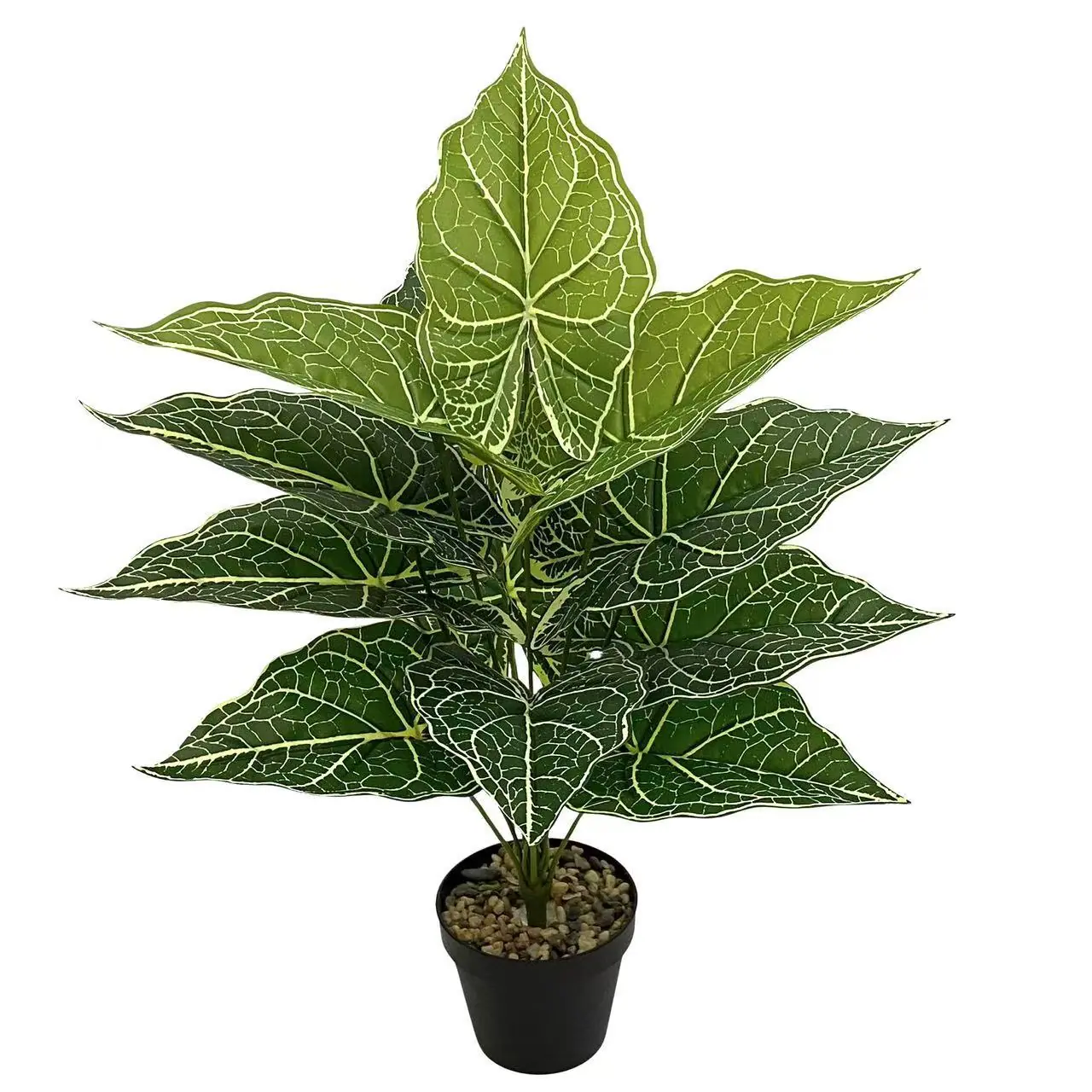 微信图片_20251007110528