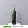 Planta Verde Simulada Pequena Planta em Vaso Suportes Orquídea Tigre Personalizada, Agave, Folha de Ninho de Pássaro, Folha de Dinheiro, Sisal de Cica