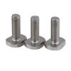 Suministro de fábrica de tornillos antirrobo tipo T de acero inoxidable 304, pernos de ranura tipo T GB37, tornillos de hardware de placa de presión tipo T