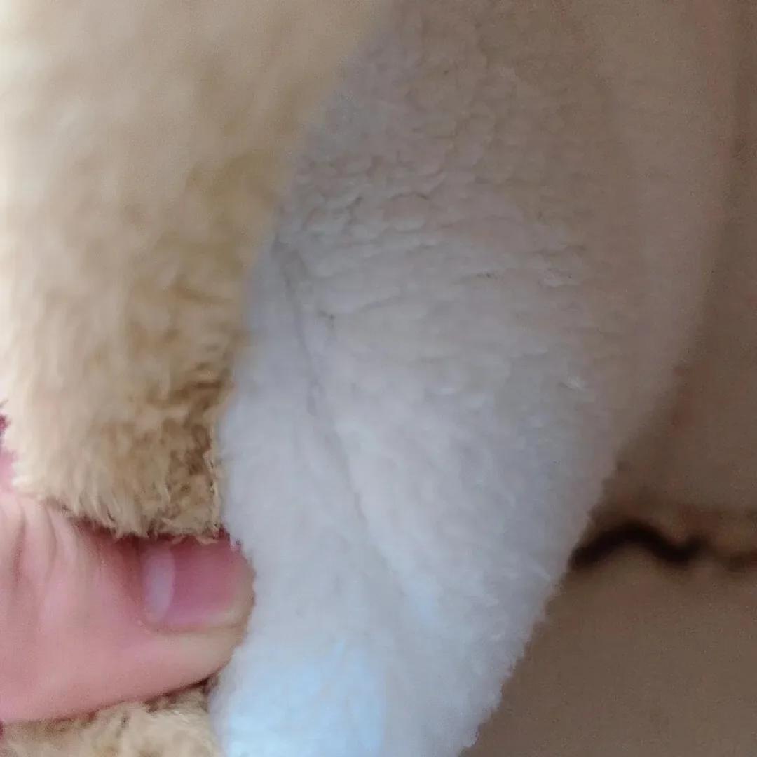 S27afa99a06634befa1906842b04bf8efg.jpg?w