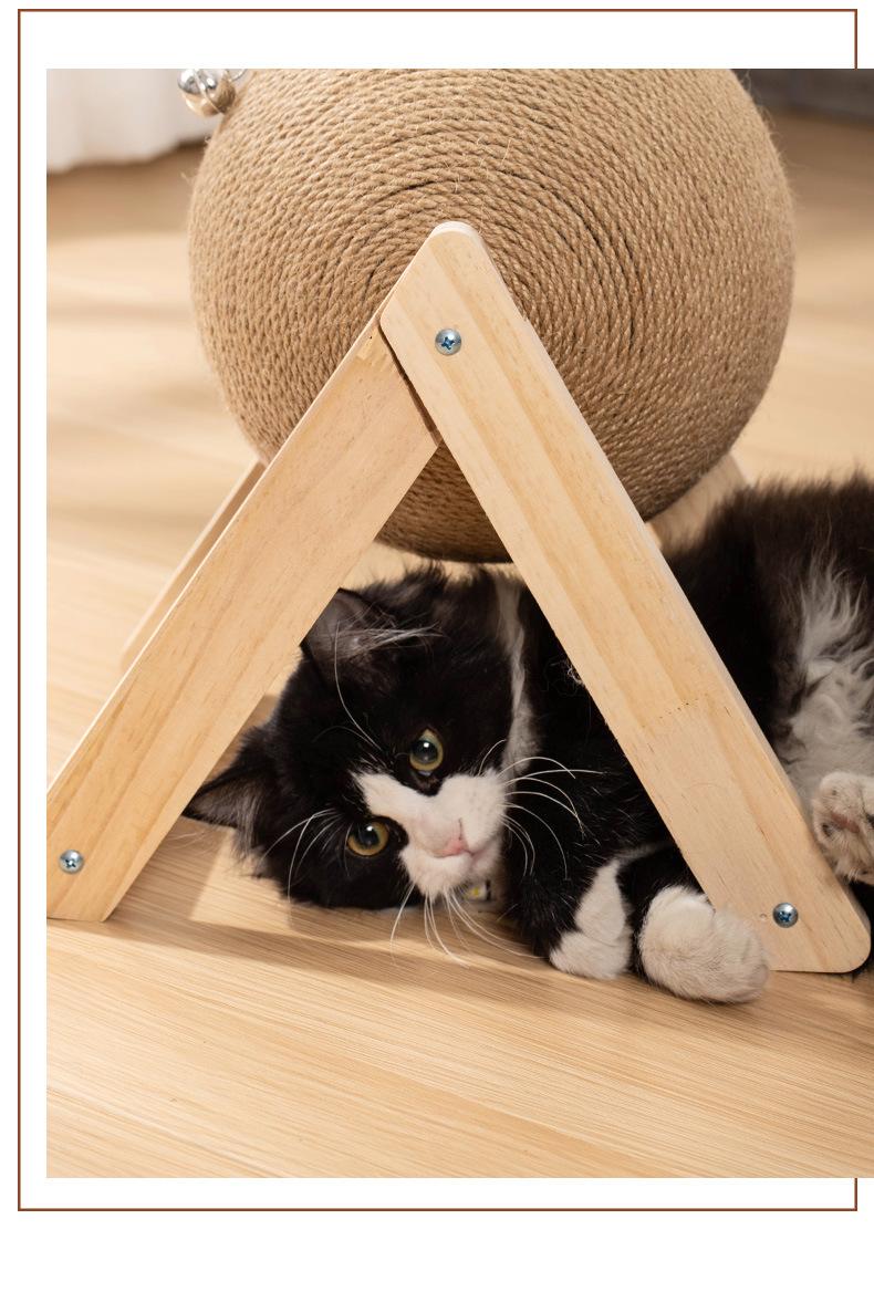猫抓球_11.jpg