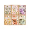 Dia lindo material papel série jardim passado tema planta decoração de diário de mão fundo 30 em 6