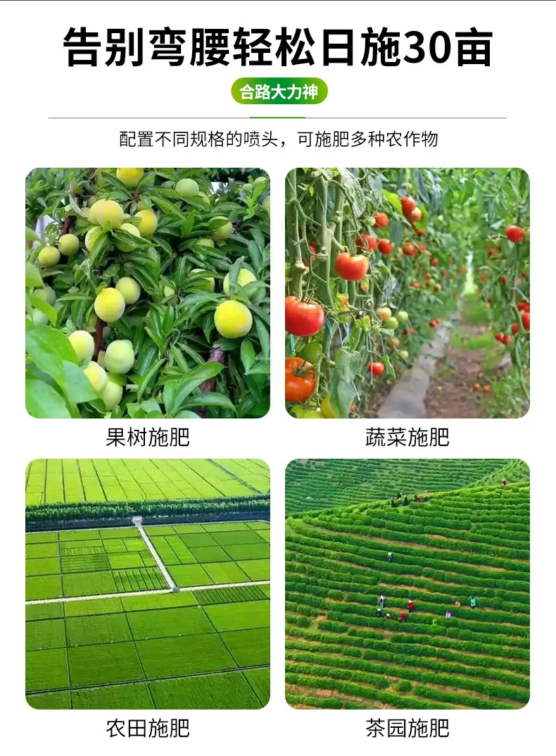 未标题-1_04.jpg