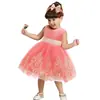 2026 Nuevo Vestido de Pasarela para Niñas de Amazon Vestido de Princesa Infantil Ropa Infantil Bordada para Halloween Vestido Tutú