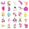 50 adesivos de Phalaenopsis fofos versão Q planta DIY pintados decorativos conta manual cartão goo computador adesivos transfronteiriços atacado