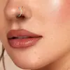 Gabei Europeu e Americano Transfronteiriço Liga de Titânio Formato D Zircônia Piercing de Nariz G23 Simples Diário Joias Piercing Brincos Piercing de Nariz