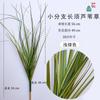 Feixe artificial barba longa capim-cana capim-rabo-de-cachorro planta verde bonsai Decoração Decoração de engenharia buquê de capim-cebola ins