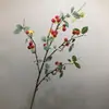 Considerable simulación estilo europeo de fruta silvestre pequeña fruta rica manzana pequeña decoración ramas de frutos rosa estilo campestre americano lichi albaricoque fruta