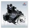 Bomba de Pistón Yeoshe Oil Lift V15C4L-10X V42A4L-10X V25C2L-10X V38A2L-10X
