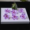 Orquídea de simulación, flor falsa, decoración de interiores, rosa, accesorios de fotografía de boda, flor artificial de plástico