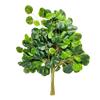 Dongguan planta verde artificial Árbol grande rama plana Hoja Naranja Hoja de Arce Higuera Francesa hoja de té hoja de plástico