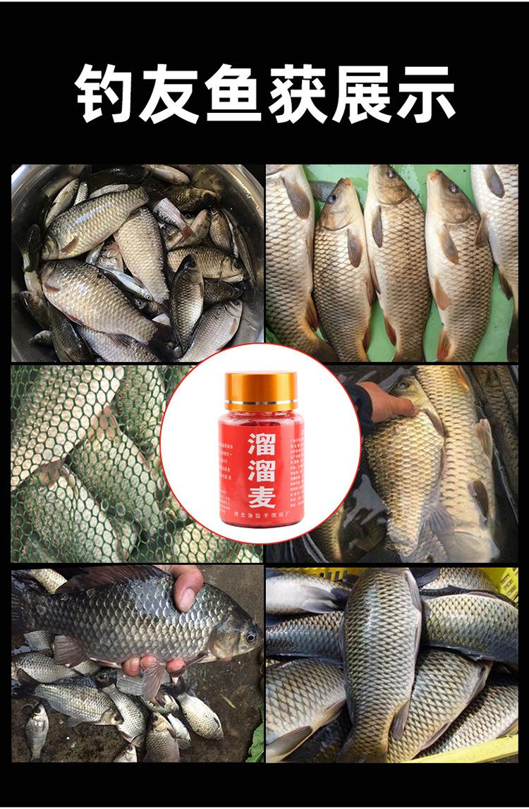 详情_13.jpg