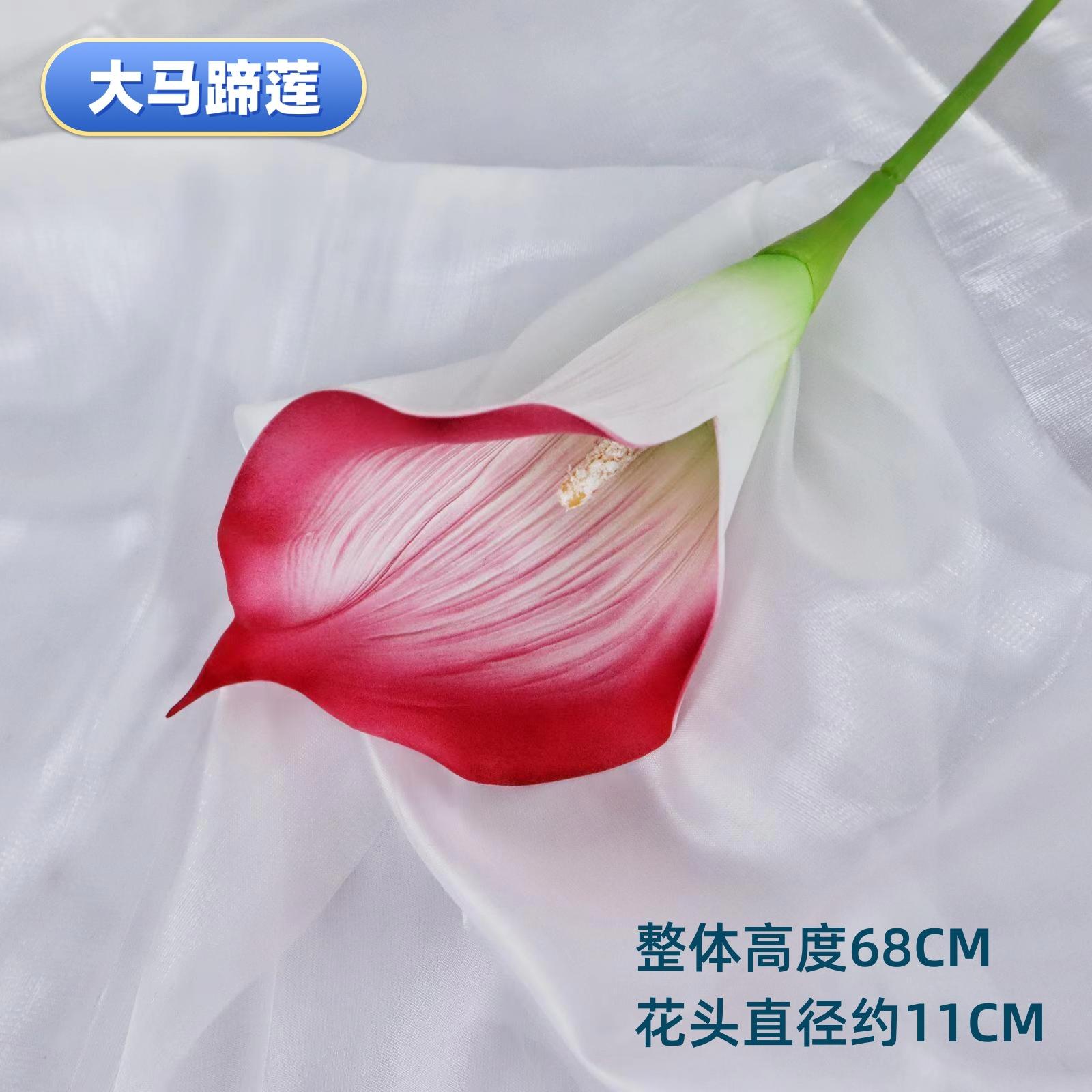 微信图片_20230414182414_副本