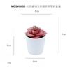 Set de Bonsái de Suculentas de Plástico Mini en Stock, Suculenta Artificial Creativa de Amazon, Flor Artificial Transfronteriza Planta en Maceta Pequeña