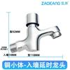 Grifo Automático con Apagado Retardado y Liberación de Agua por Botón Pulsador para Salud Pública, Grifo de Lavabo de Agua Fría Única